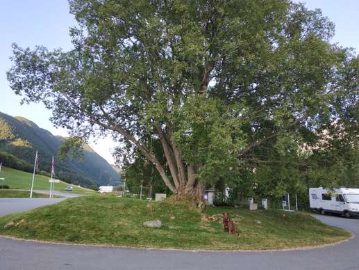 Added a photo to a location