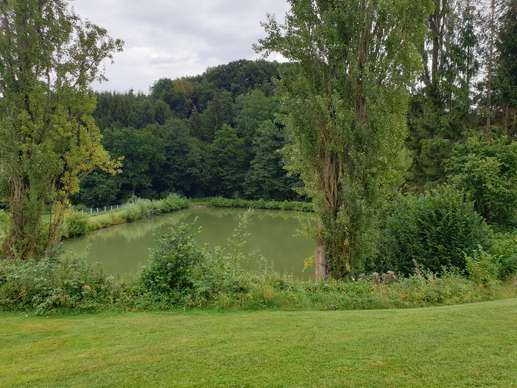 Een foto toegevoegd aan een locatie
