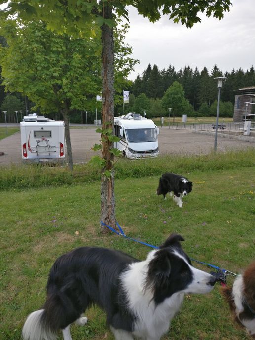 Einem Ort wurde ein Foto hinzugefügt
