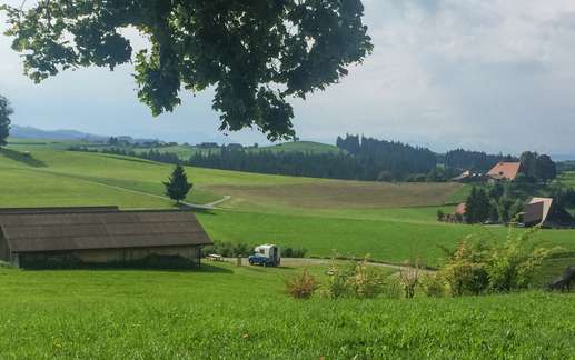 Added a photo to a location
