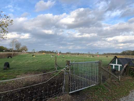 Een foto toegevoegd aan een locatie