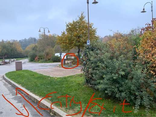 Added a photo to a location