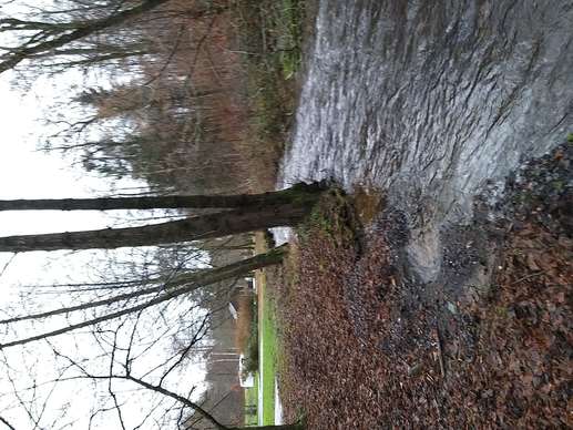 Een foto toegevoegd aan een locatie