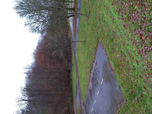Een foto toegevoegd aan een locatie