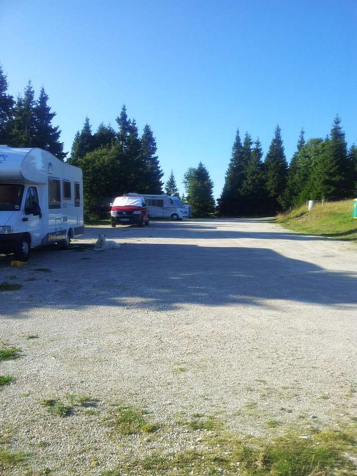 Rogla