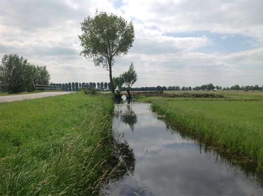Een foto toegevoegd aan een locatie