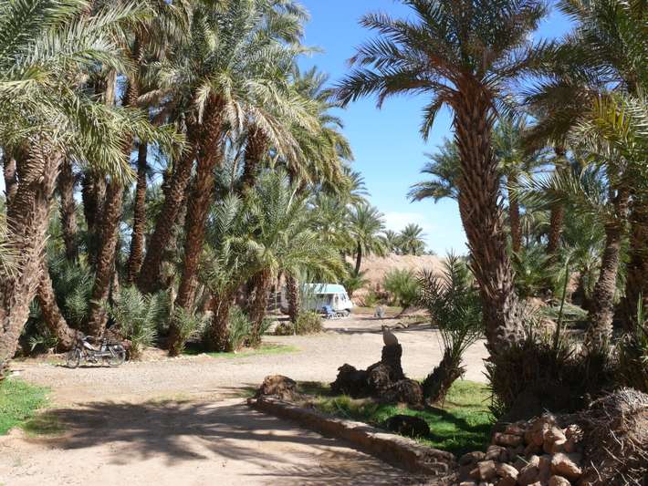 Camping Oued Draa