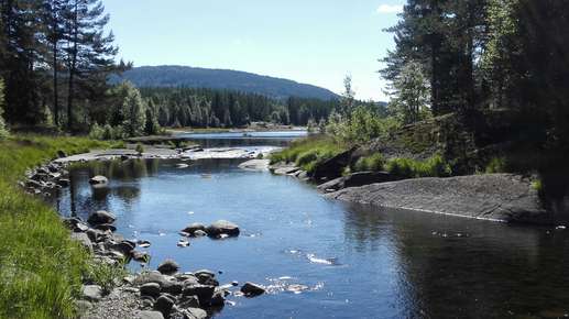 Added a photo to a location