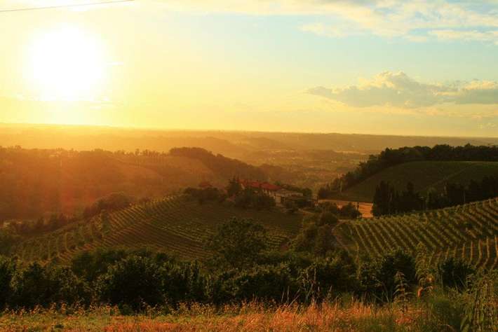 Azienda Agricola Cà Neuva