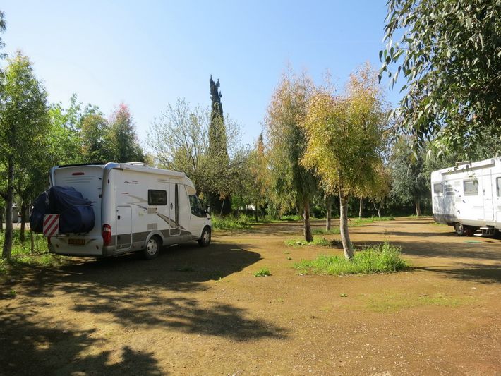 Camping International Fes