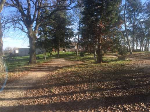 Added a photo to a location