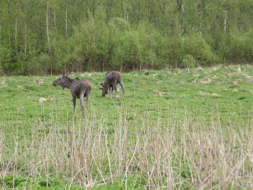 Added a photo to a location