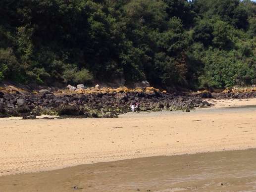 Added a photo to a location