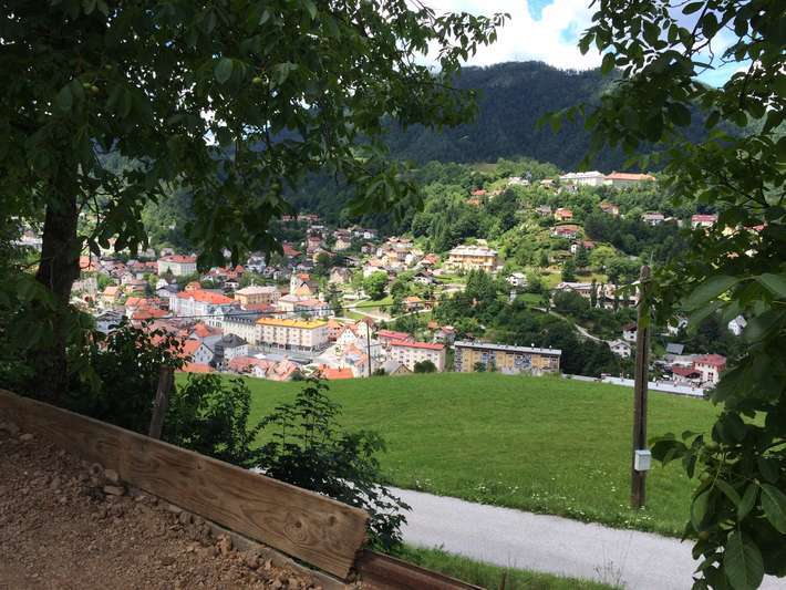 Veri Krajnik