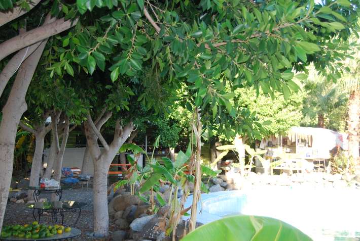 Orient Camping
