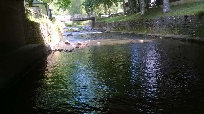 Waldcamping Prüm