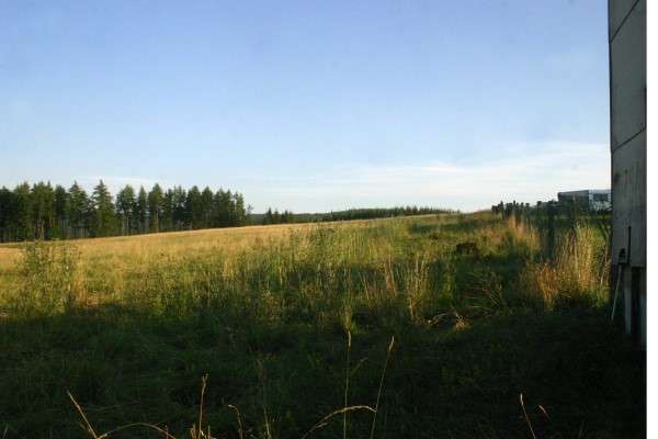 Weidberg-Camping