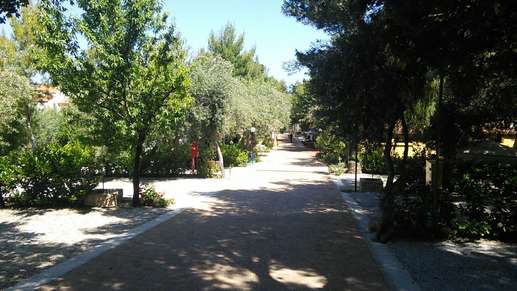 Added a photo to a location