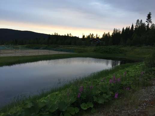 Added a photo to a location