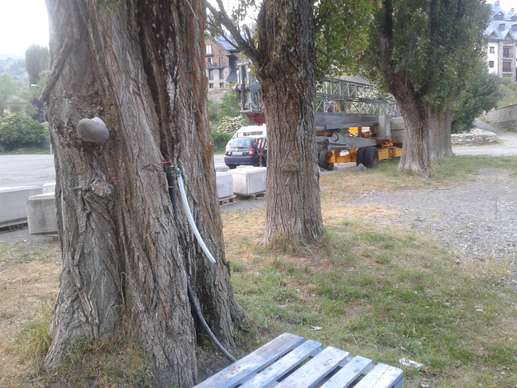 Added a photo to a location