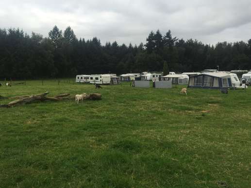 Een foto toegevoegd aan een locatie