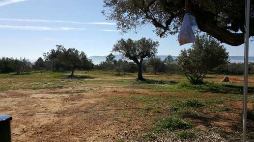 Added a photo to a location