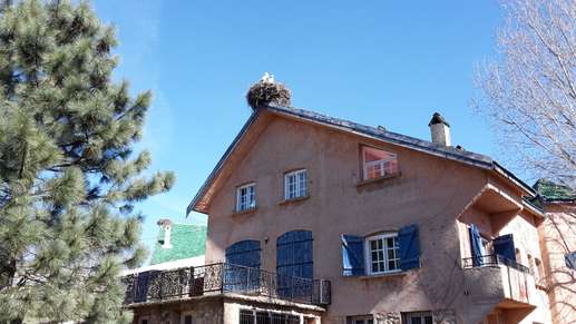 Added a photo to a location