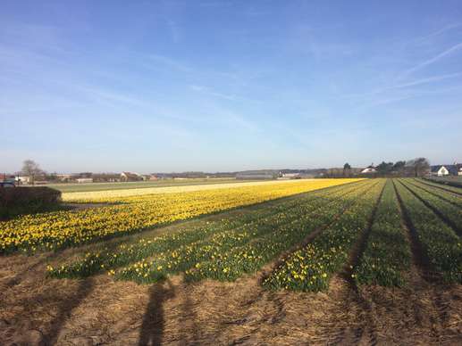 Een foto toegevoegd aan een locatie