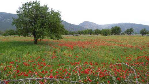 Added a photo to a location