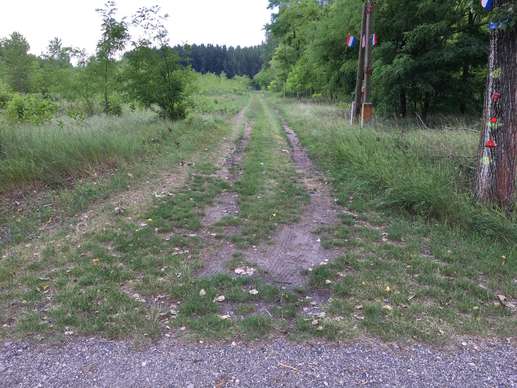 Added a photo to a location