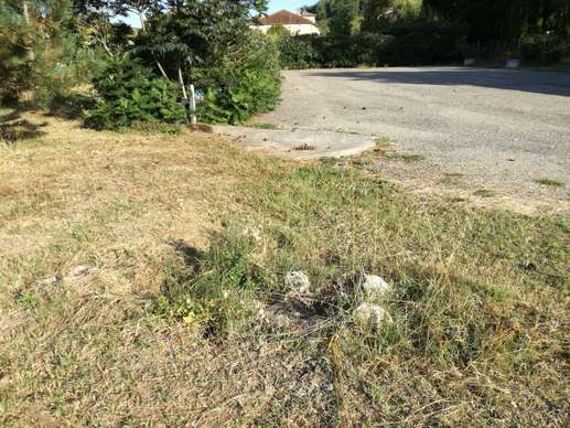 Added a photo to a location