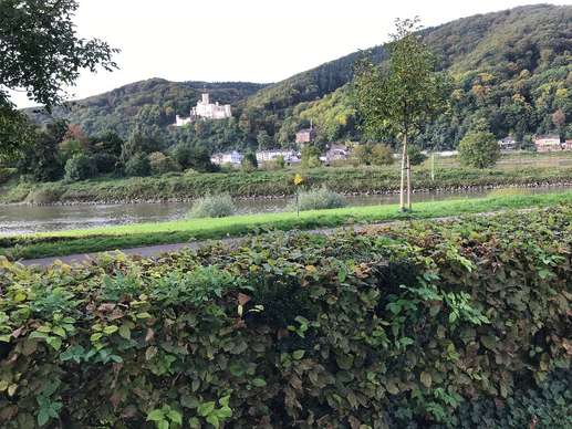 Added a photo to a location