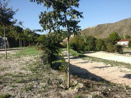 Added a photo to a location