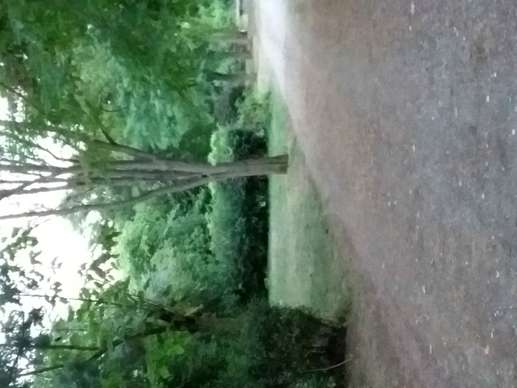 Added a photo to a location