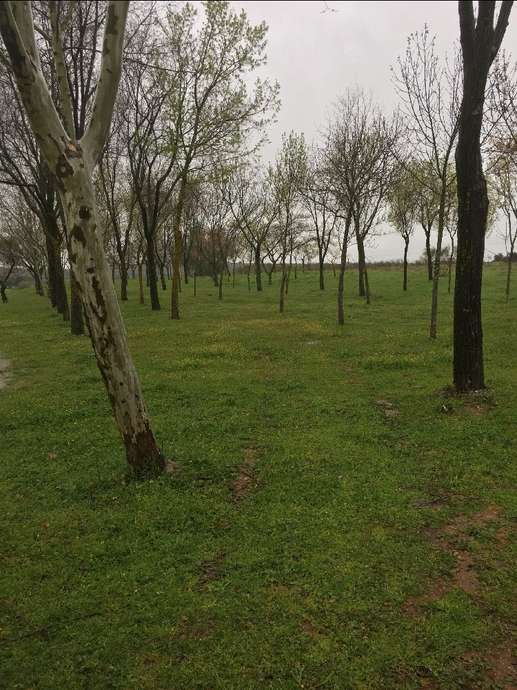 Aggiunta una foto a una posizione