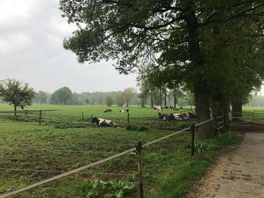 Added a photo to a location