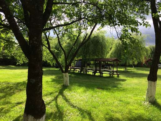 Added a photo to a location