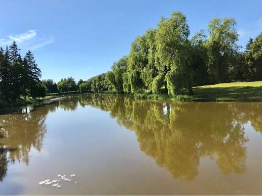 Een foto toegevoegd aan een locatie