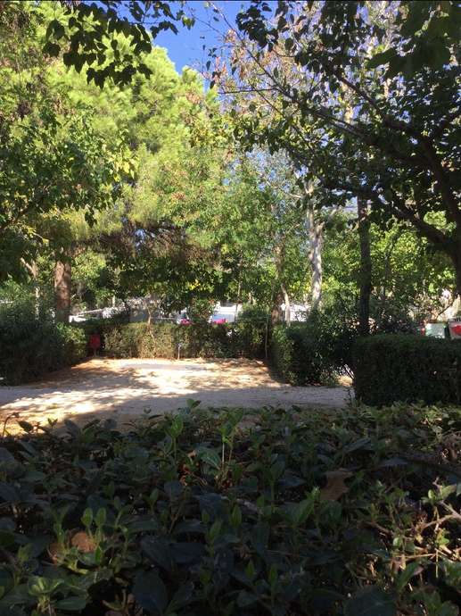 Added a photo to a location