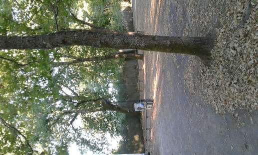 Added a photo to a location