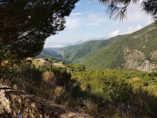 Added a photo to a location