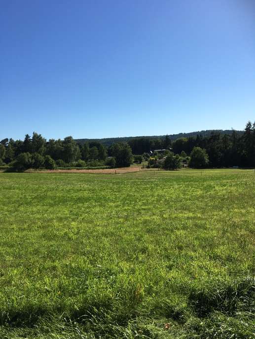 Added a photo to a location