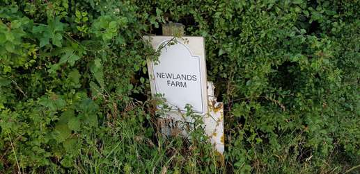 Added a photo to a location