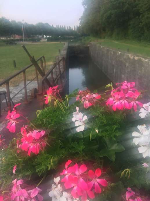 Added a photo to a location