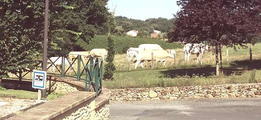 Ajout d'une photo à un emplacement