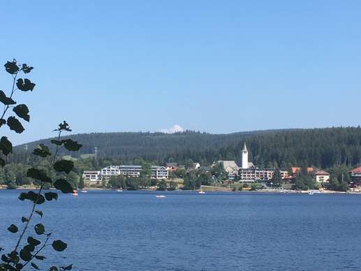 Added a photo to a location