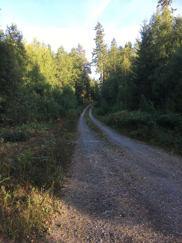 Änghultasjön