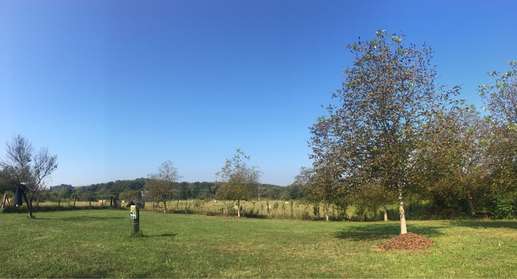 Added a photo to a location
