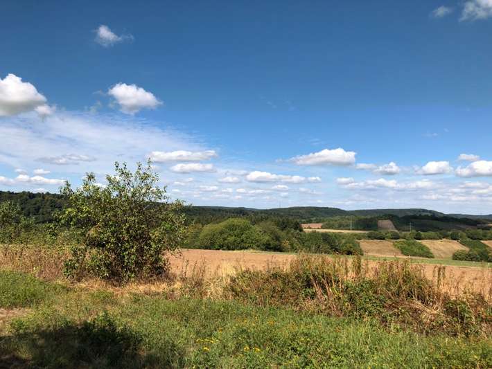 Landal Warsberg