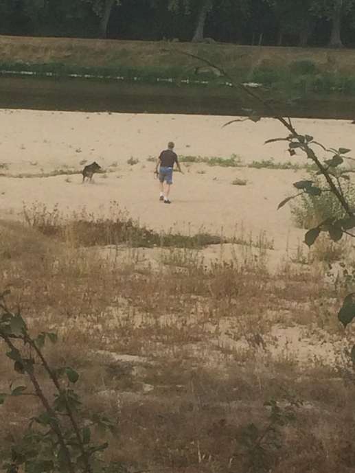 Aggiunta una foto a una posizione